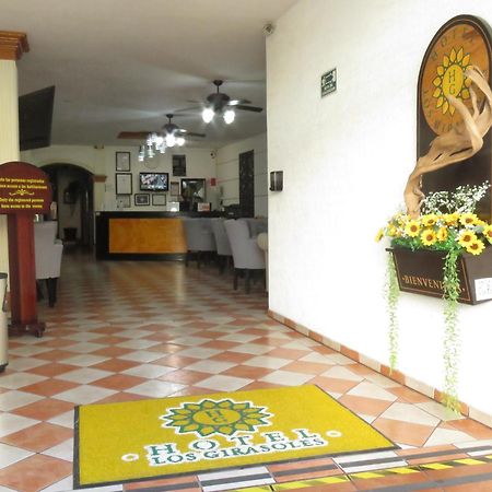 Hotel Los Girasoles テピク エクステリア 写真